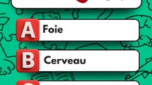 Testez vos connaissances sur le corps humain