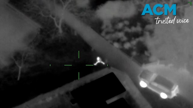 Man allegedly attempts to flee cops by swimming across Yarra River