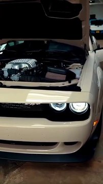Director Tang Follow Sexy Cat Doch Hell Cat oSearch.How much does a Hellcat cost? #Car Lovers #Car Look #Modified #viral #FypoSearch