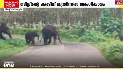 അക്രമകാരികളായ മൃഗങ്ങളെ കൊല്ലാൻ ചീഫ് വൈൽഡ് ലൈഫ് വാർഡന് അധികാരം നൽകുന്ന ബില്ലിന്റെ കരടിന് അംഗീകാരം