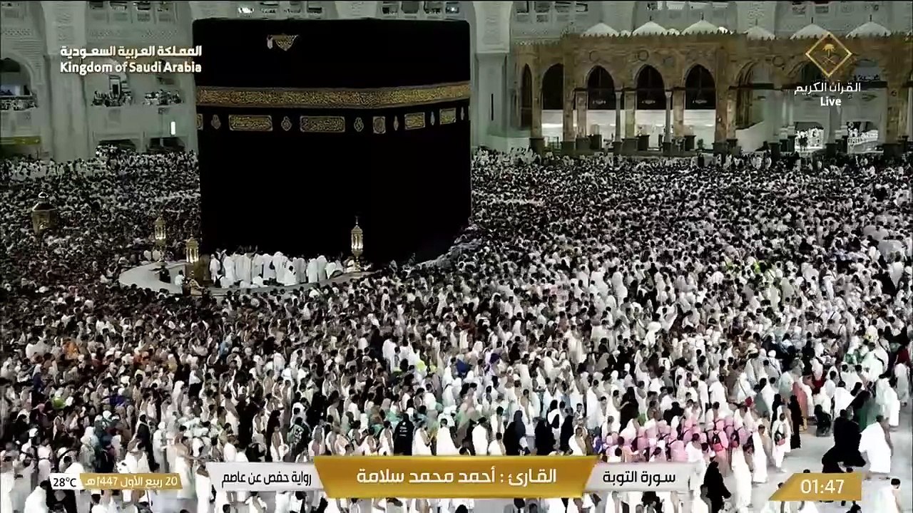 تلاوة خاشعة لأواخر سورة التوبة وسورة يونس كاملة بصوت الشيخ أحمد محمد سلامة _ Quran Recitation