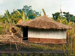 Humphrey Bogart-1951 La reina de Africa-HD