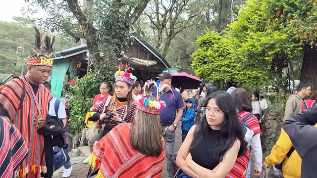 Beautiful horses and plants at Mines View Park, Baguio City, Philippines, Quick view 2025