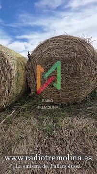 🎧🌟 ¡Explosión musical en Radio Tremolina!