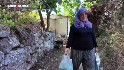 Teknede yapılan gözlemeler tarihi Hamidiye Koyu'nu lezzet durağına dönüştürdü