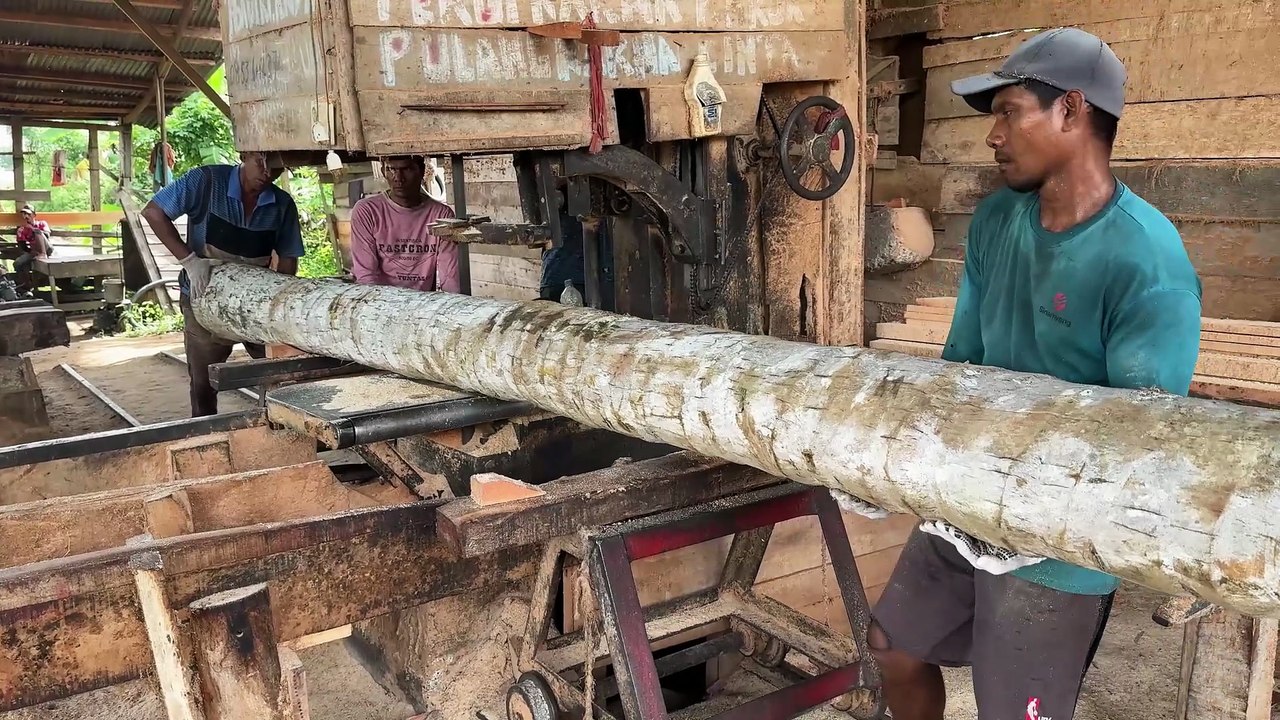 Type of Sawmill Machine Suitable for Slicing Coconut Logs 5x7