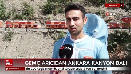 Ankara'nın Kıbrıs Köyü Kanyonu'nda yılda 2 ton bal üretimi