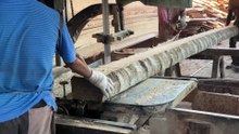 Sawmill Machine Maintenance for Optimal Coconut Cutting 5x7