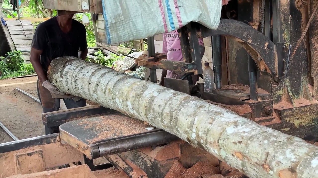 Sawmill Process of Coconut Tree to Wood 5x10 – Complete Details!
