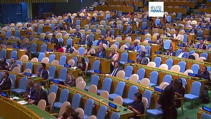 L'Assemblée générale de l'ONU soutient la solution à deux États, sans le Hamas