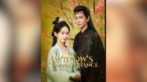 The Widow's Second Chance Full Movies