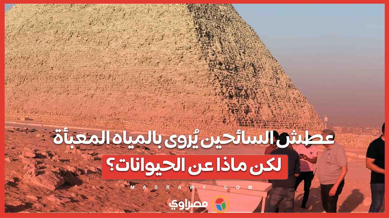 عطش السائحين يُروى بالمياه المعبأة..لكن ماذا عن الحيوانات؟