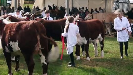 Penistone Show 2025 Highlights 🎉