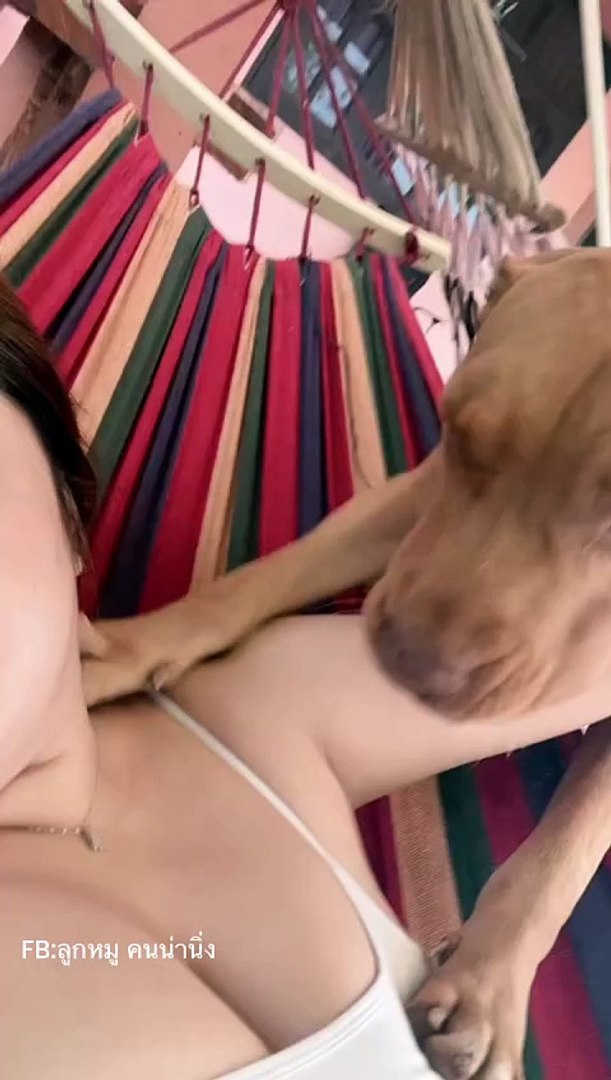 ⁣naughty pets