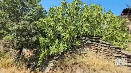 İzmir’in hayalet köyü: LÜBBEY!