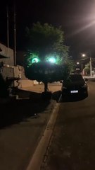 WhatsApp Video 2025-09-13 at 09.18.20