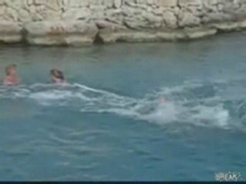 Dolphin Head Butts Couple On Vacation - video Dailymotion