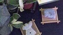 玉玦斧鋤器 Ｂ8 三星堆珍寶 玉而富