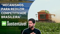 Pressão externa sobre produtos brasileiros é ambiental ou protecionismo? | JP SUSTENTÁVEL