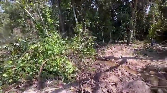 Novas imagens do local onde carro de cobradores foi localizado em Icaraíma