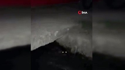 Sürpriz misafirler! Sulama kanalında görüntülendi