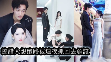 After a one-night fling with her mother’s rumored lover, she realized she slept with a wealthy heir
