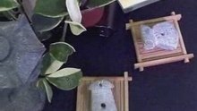 獸形斧鋤器 Ｂ10 三星堆珍寶 玉而富