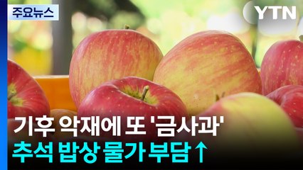 또 '금사과'...사과값 뛰며 추석 밥상 부담↑ / YTN