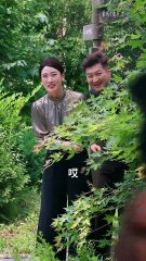 【短剧合集】玄学夫人：专治不服的神秘女主✨