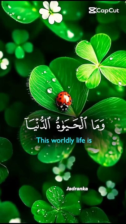 The Beauty of the Qur’an 🌙 | A Message That Touches Every Heart | قرآن کی خوبصورتی #Quran, #IslamicShorts, #Tilawat, #IslamicReels, #PeaceInIslam