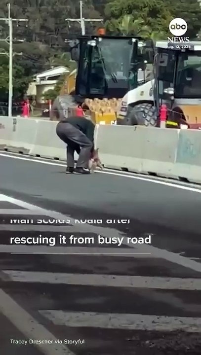 Only in Australia 🇦🇺
