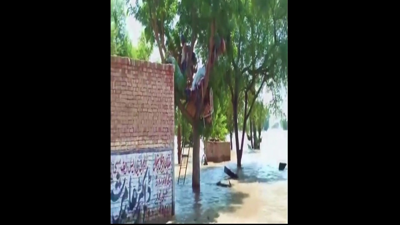 The whole cities are dinished from the earth due to the flood in pakistan.