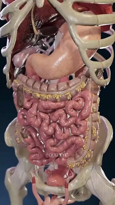 If you want to stay healthy then start eating this thing