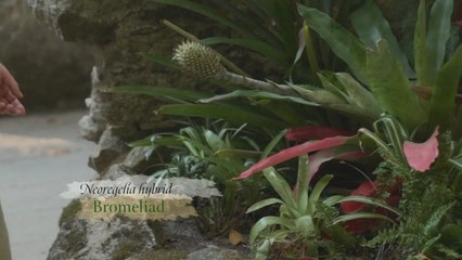 Great Gardens of Europe Season 1 Episode 2