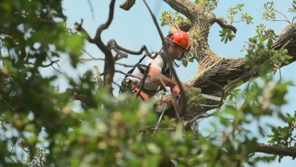 Great Gardens of Europe Season 1 Episode 4