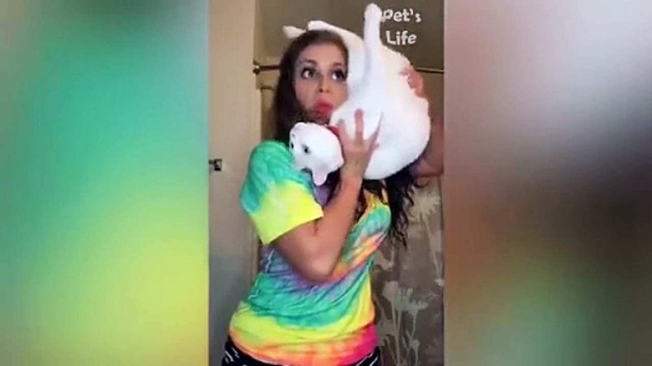 Best Ever Funny Animals Making People Laugh