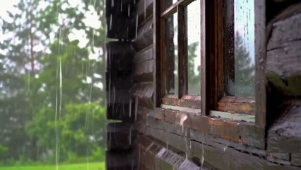 Calming Rain Drizzle for Meditation, Sleep, and Stress Relief.ASMR Sounds of water