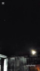 Los Perritos jugando en la oscuridad