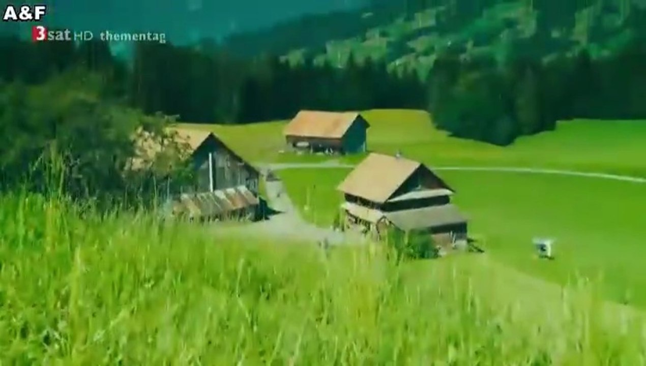 Liebe und andere Unfälle