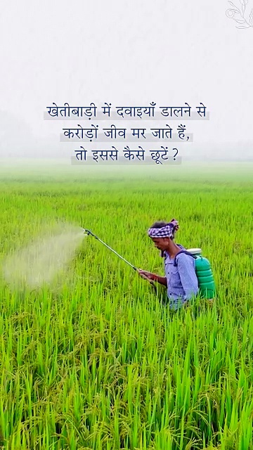 खेतीबाड़ी में हिंसा से कैसे बचें?