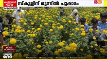 നിലമൊരുക്കാനും തൈകൾ നടാനും ഒപ്പം നിന്ന് കുട്ടികൾ; ഒടുവിൽ സ്കൂളിന് മുന്നിൽ ഒരു പൂപ്പാടം; നയനമനോഹരം