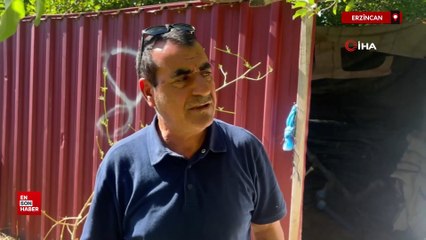 Erzincan’da başıboş sokak köpekleri 6 kuzuyu telef etti