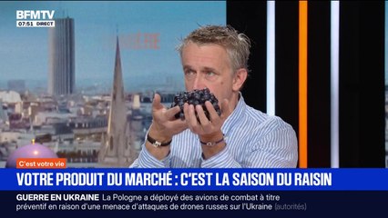 C'est le retour de la saison du raisin, nos conseils pour savoir comment le consommer