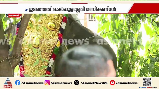 പുല്ല് വാങ്കമാട്ടേൻ....?; പാലക്കാട് ശ്രീകൃഷ്ണ ജയന്തി ആഘോഷത്തിനിടെ ആന ഇടഞ്ഞു