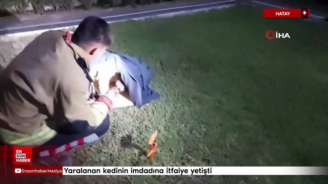 Hatay'da balık misinasına dolanarak yaralanan kedinin imdadına itfaiye yetişti