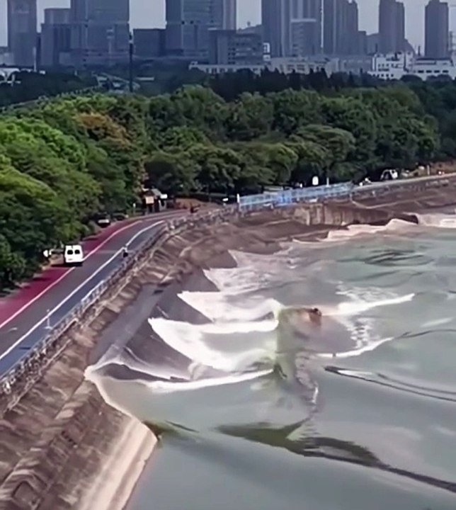 Dancing water waves