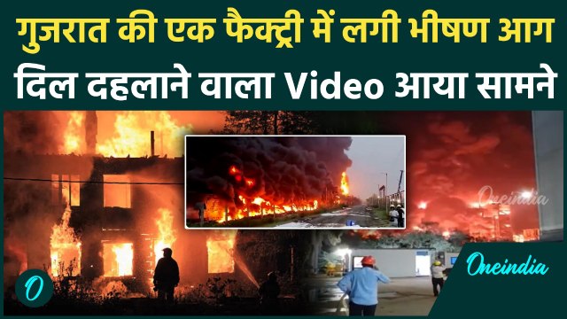 Gujarat Fire News : गुजरात के Bharuch की Panoli GIDC में लगी भीषण आग, आसपास के गांवों में दहशत! |