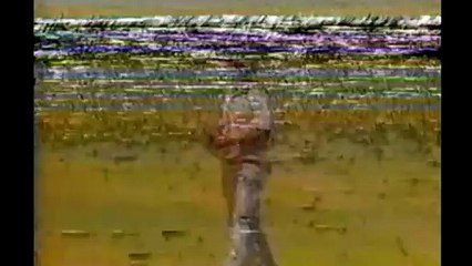 Neil Foster Took the Wicket of Manoj Prabhakar 1st Match at Sharjah, Apr 02 1987