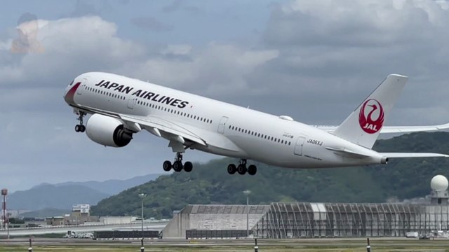 Japan Airlines Takeoff | Plane Take Off | Boeing 737 | Airplane | Takeoff | Plane Spotting | Airport