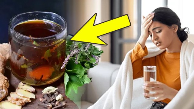 Immunity Booster Drink: बदलते मौसम में अदरक तुलसी का पानी पीने के फायदे, Ginger Tulsi Water Benefits